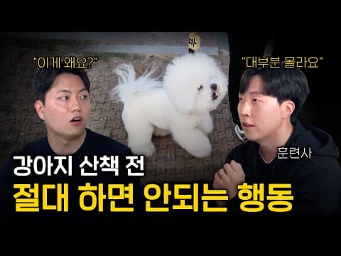 반려동물 산책 훈련: 흥분 조절과 완벽한 콜 교육 비법
