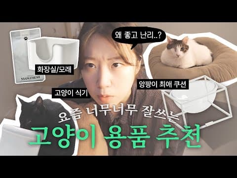 반려동물 고양이 식기 추천! 달빛식기, 헬로 볼, 미니 트릿 이건 꼭 보세요