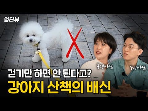 반려동물 실내 운동 BEST 5 강아지 스트레스 해소와 근력 강화 꿀팁