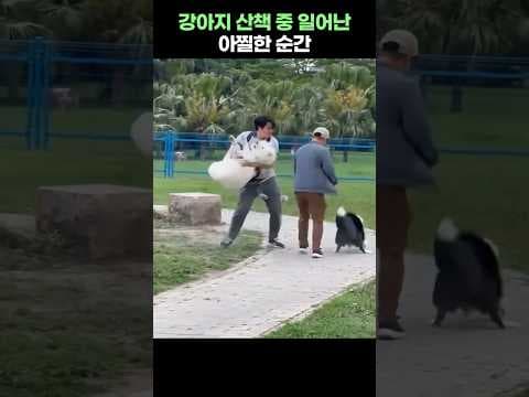 반려동물 산책 시 목줄 미착용 사고, 견주 책임 강화해야