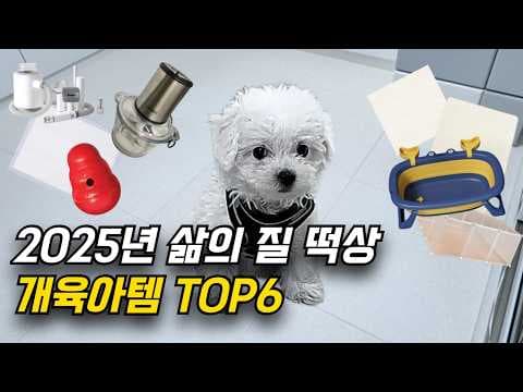 강아지 배변 훈련 꿀팁! 투명 울타리, 실리콘 매트, 대형 배변패드 조합