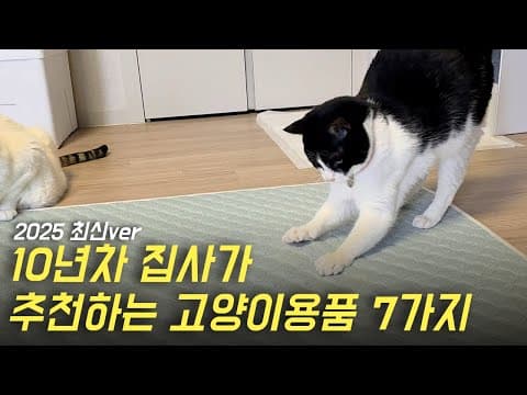 고양이 화장실 냄새 제거! 순스백 캐츠그 냄새 차단 봉투 사용 후기