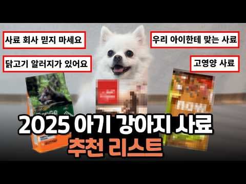 강아지 근육 성장 돕는 고단백 사료, 오리젠 퍼피 파헤치기