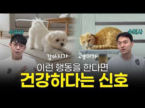 반려동물 건강관리 꿀팁: 이상 징후 체크하고 건강 지키는 방법