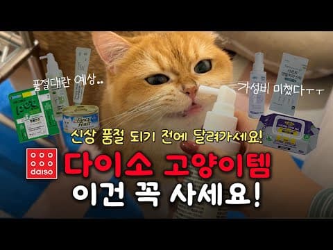 다이소 아르르 펫 미스트 써보니! 겨울철 반려동물 털 관리에 딱