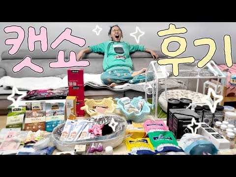 고양이 캣휠, 캣타워, 수반 써보니! 반려동물 용품 솔직 후기