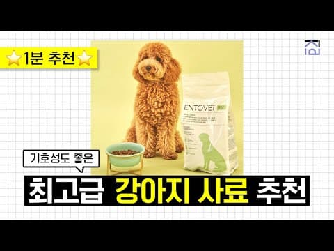 강아지 알러지, 눈물 고민 해결! BEST 반려동물 사료 추천