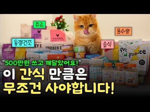고양이 건강하게! 반려동물 유산균, 영양제, 이빨 과자, 추르 추천
