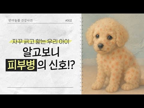 강아지, 고양이 피부 알러지 원인과 증상: 반려동물 피부병 종류와 관리법