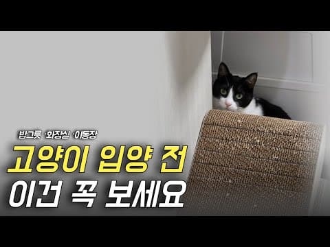 초보 집사 필수템! 반려동물 고양이 스크래처, 이동장, 방묘문 써보니