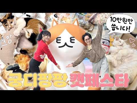 궁디팡팡 캣페스타 2026: 10만원으로 반려동물 고양이 용품 득템 도전!