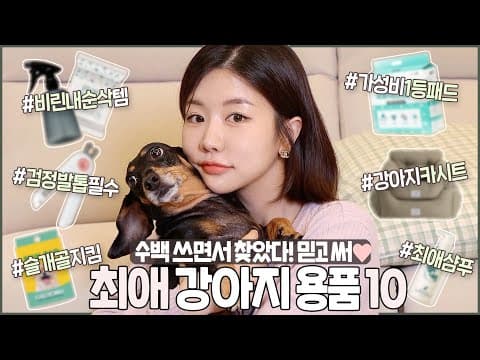 강아지 필수템! 싸인호 퀸 관절약 & 안전한 카시트 추천