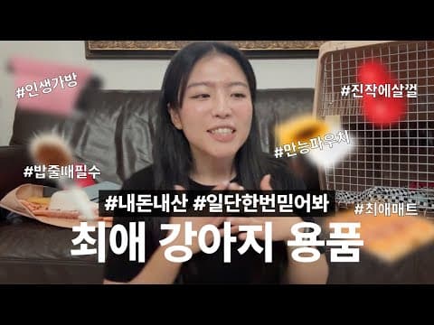 반려동물 행복 캔넬 크레이트, 강아지 하우스 교육 이젠 쉬워요