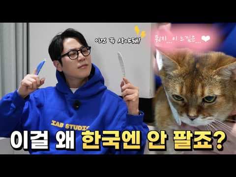 반려동물 고양이 간식, 캐티맨 추루 짜개 & 라이언 칫솔 써보니
