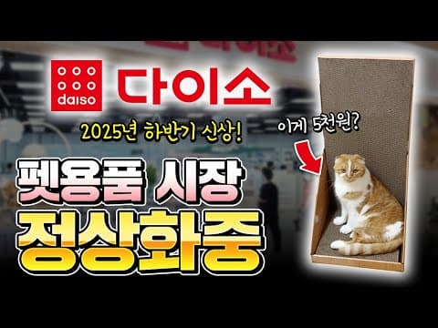 고양이 물그릇부터 털 관리까지! 반려동물 용품 활용 꿀팁