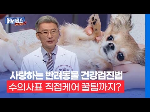 반려동물 건강검진 시기, 강아지&고양이 정기 검진 항목 완벽 가이드