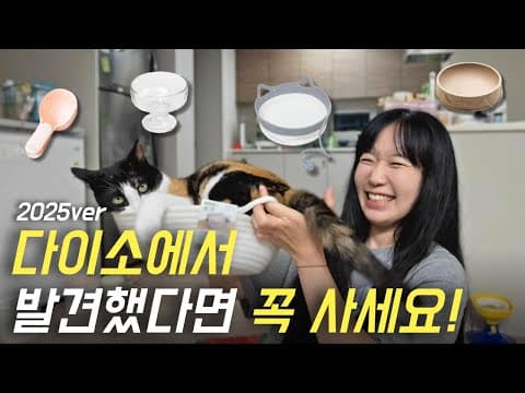 반려동물 집사 감동! 다이소 고양이 용품 7가지 써보니 이건 대박템