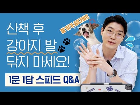 반려동물 산책 후 발 닦기: 강아지 지간염 예방 및 위생 관리 꿀팁