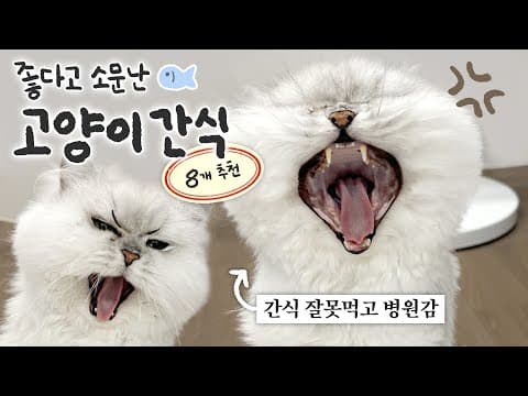 고양이 스트레스 완화, 조공 릴리프 vs 이노프! 반려동물 영양제 비교