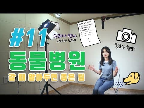 반려동물 병원 스트레스? 고양이용 안정제 궁금증 모두 풀어드릴게요