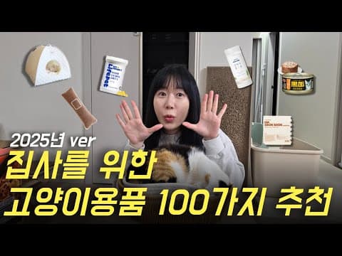 고양이 밥그릇 & 화장실 매트 추천! 보울보울 패시기, 정글 몬스터 쏙쏙 매트