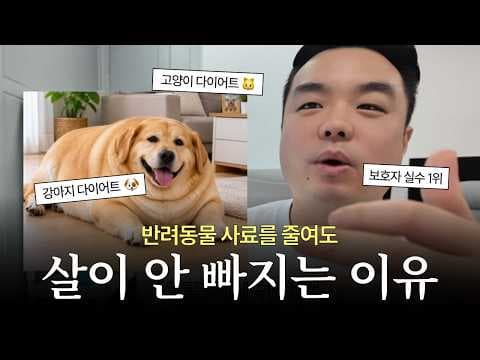 반려동물 장 건강 지킴이, 포자형 유산균과 소화효소 조합 놓치면 후회해요!