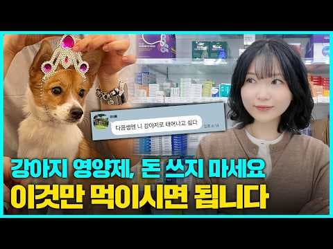 환절기 반려동물 건강 관리: 강아지 종합영양제, 도기잇 솔직 후기