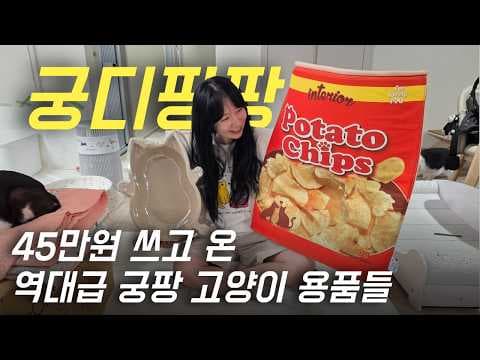 반려동물 펫 박람회에서 찾은 고양이 사료 영양제 음수량 해결 꿀팁