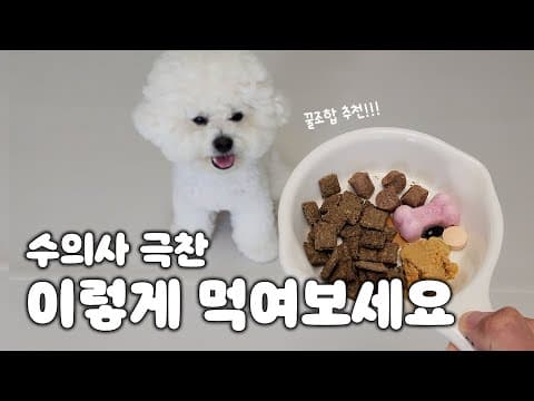 입맛 까다로운 반려동물을 위한 강아지 사료 조합 추천: 젠틀베이크, 하림더리얼, 듀먼