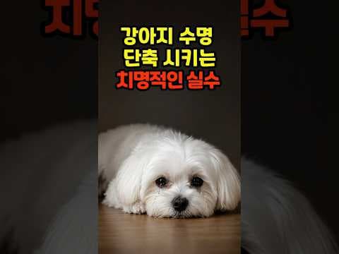 반려동물 수명 연장, 강아지 정기 건강 검진이 필요한 이유