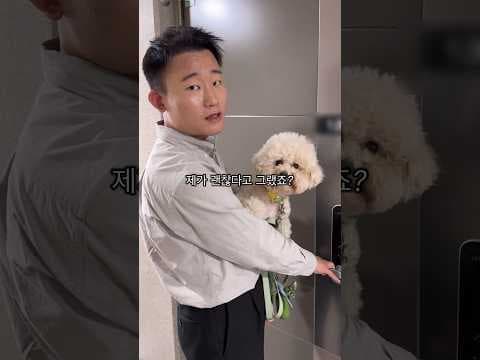 반려동물 분리불안 짖음 교정 훈련: 확실한 해결 방법
