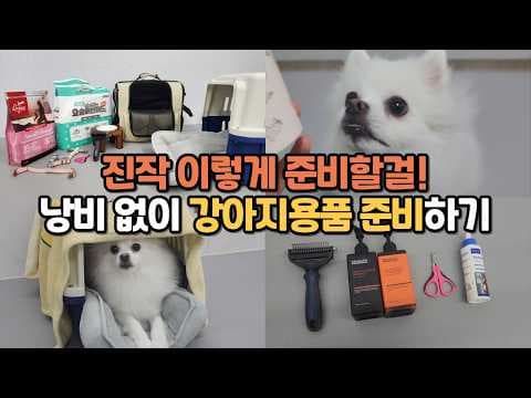 강아지 위생 필수템! 빗, 샴푸, 발톱깎이, 귀세정제 사용법