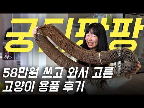 궁디팡팡 캣페스타에서 득템한 반려동물 용품! 브스캔 300 써본 후기