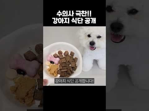 강아지 고양이 영양제, 젠틀베이크, 하림, 주머와 반려동물 건강 챙기기