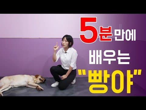 강아지 빵야 훈련 성공 비법: 꿀팁으로 반려동물과 교감 UP!
