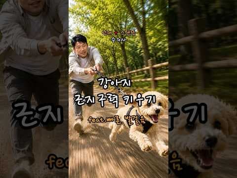 노령견도 건강하게! 반려동물 근육 유지 5-2-3 산책 운동법