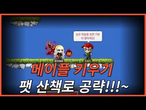 메이플스토리 반려동물 펫 산책로 공략! 시간 단축 비법