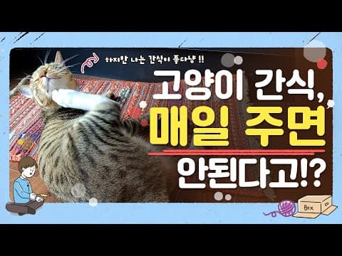반려동물 고양이 간식, 이 정도가 적정 급여량이에요!
