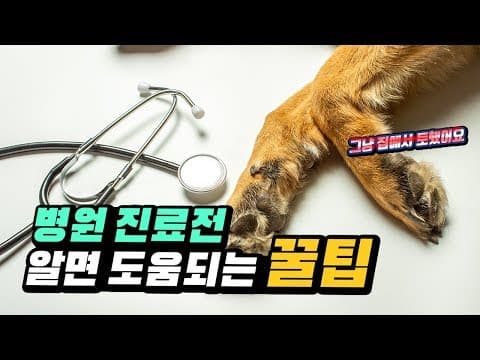 반려동물 건강 지키기: 객관적인 정보 습득의 중요성