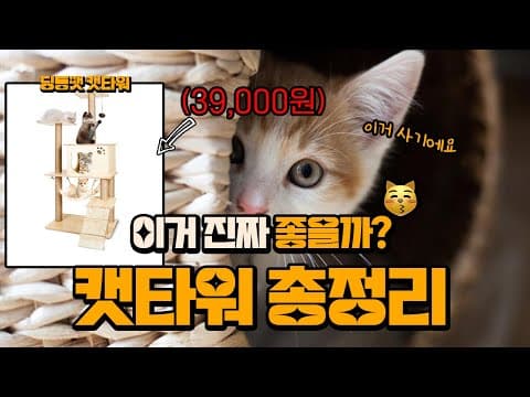 고양이 캣타워 종류별 장단점 비교! 우리집 반려동물에게 맞는 선택은?